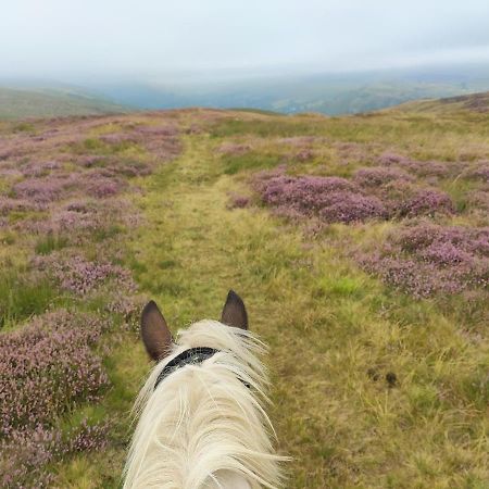 Готель Pentre Riding Stables Abercraf Екстер'єр фото
