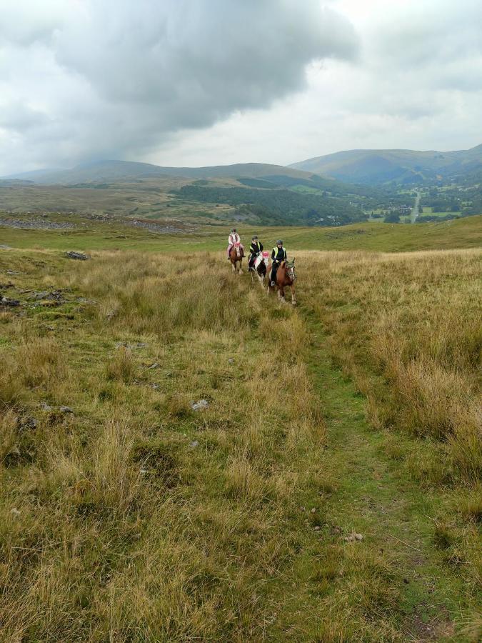 Готель Pentre Riding Stables Abercraf Екстер'єр фото