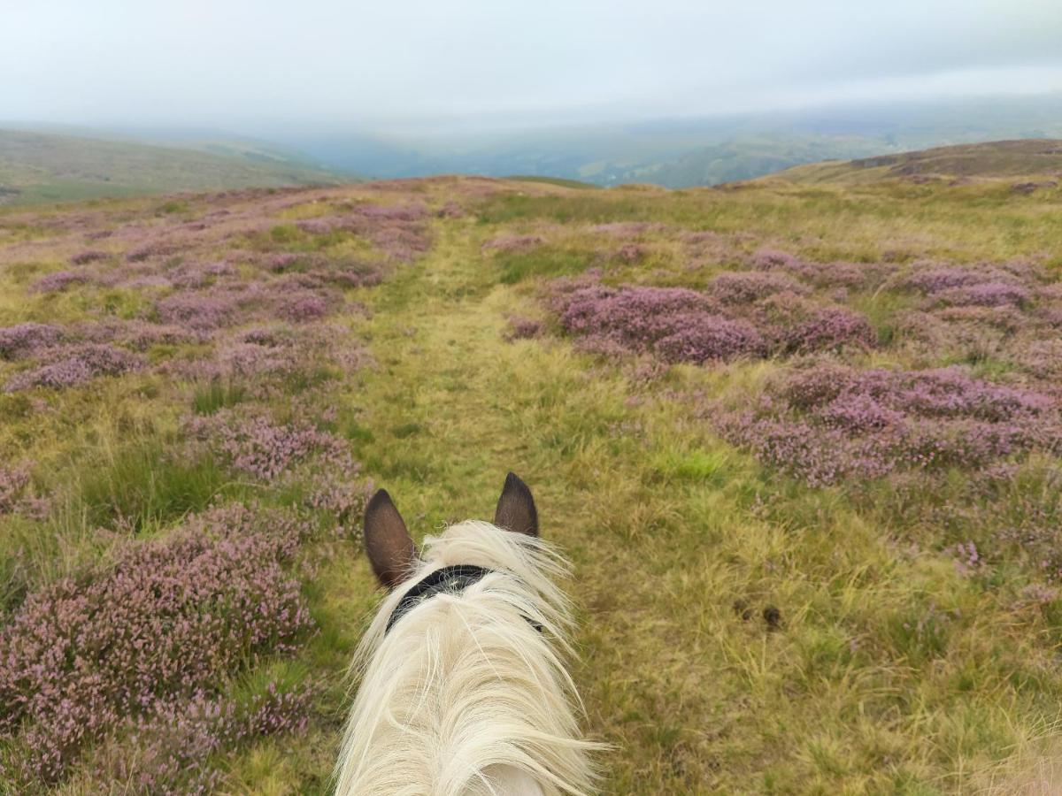 Готель Pentre Riding Stables Abercraf Екстер'єр фото