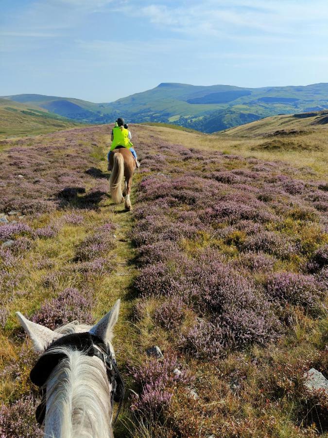 Готель Pentre Riding Stables Abercraf Екстер'єр фото
