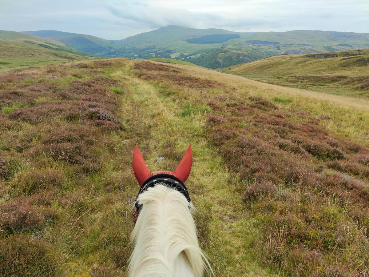 Готель Pentre Riding Stables Abercraf Екстер'єр фото